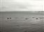 Kayakers
