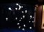 Monterey Bay Aquarium