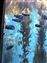 Monterey Bay Aquarium