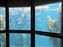 Monterey Bay Aquarium
