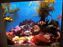 Monterey Bay Aquarium