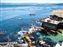 Monterey Bay Aquarium