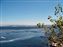Monterey Bay Aquarium View