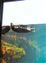 Monterey Bay Aquarium