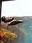 Monterey Bay Aquarium