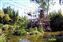 Ruins Animal Habitat