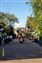 Mickey's Jammin' Jungle Parade