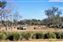 Disney's Animal Kingdom Lodge - Savannah View