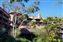 Disney's Animal Kingdom Lodge
