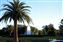 Walt Disney World Swan Hotel
