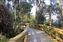 Disney's Wilderness Lodge - Boardwalk to Boat Dock