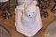 Concierge Floor Room Towel Animal