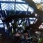 Polynesian Village Lobby