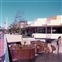 Magic Kingdom - Tomorrowland Terrace