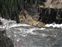 Upper Mesa Falls