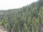 Rocky outcrop in the forest