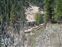 Upper falls walkways