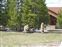 Wooded bears outside of the center