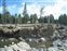 Wolf enclosure
