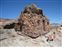 Stone house