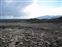 Lave with snowy mountain background
