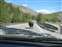 Bison Crossing the Bridge, Blocking Traffic