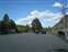 Bison in the Parking Lot