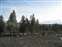 Old Faithful Snow Lodge