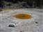 Upper Geyser Basin - Economic Geyser