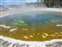 Upper Geyser Basin - Beauty Pool