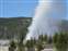 Upper Geyser Basin - Daisy Geyser Erupting