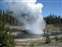 Upper Geyser Basin - Riverside Geyser Erupting
