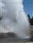 Upper Geyser Basin - Riverside Geyser Erupting