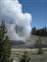 Upper Geyser Basin - Riverside Geyser Erupting