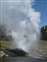 Upper Geyser Basin - Riverside Geyser Erupting