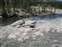 Upper Geyser Basin - Fan Geyser