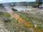 Upper Geyser Basin - Mirror Pool