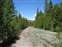 Upper Geyser Basin - Trail Beyond Morning Glory Pool