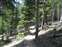 Trail to Solitary Geyser