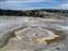 Anemone Geyser