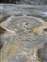 Anemone Geyser