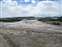 Lion Geyser Group