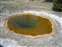 Amber Green Pool