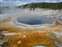 Crested Pool