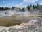 Tortoise Shell Spring & Castle Geyser