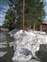Snow in May