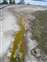 West Thumb - Runoff Channel