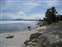 West Thumb - Shore View