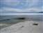 West Thumb - Shoreline View