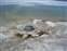 West Thumb - Lakeshore Geyser